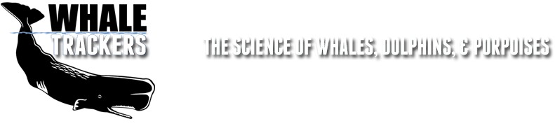 WHALE TRACKERS - The science of WHALES, DOLPHINS and PORPOISES